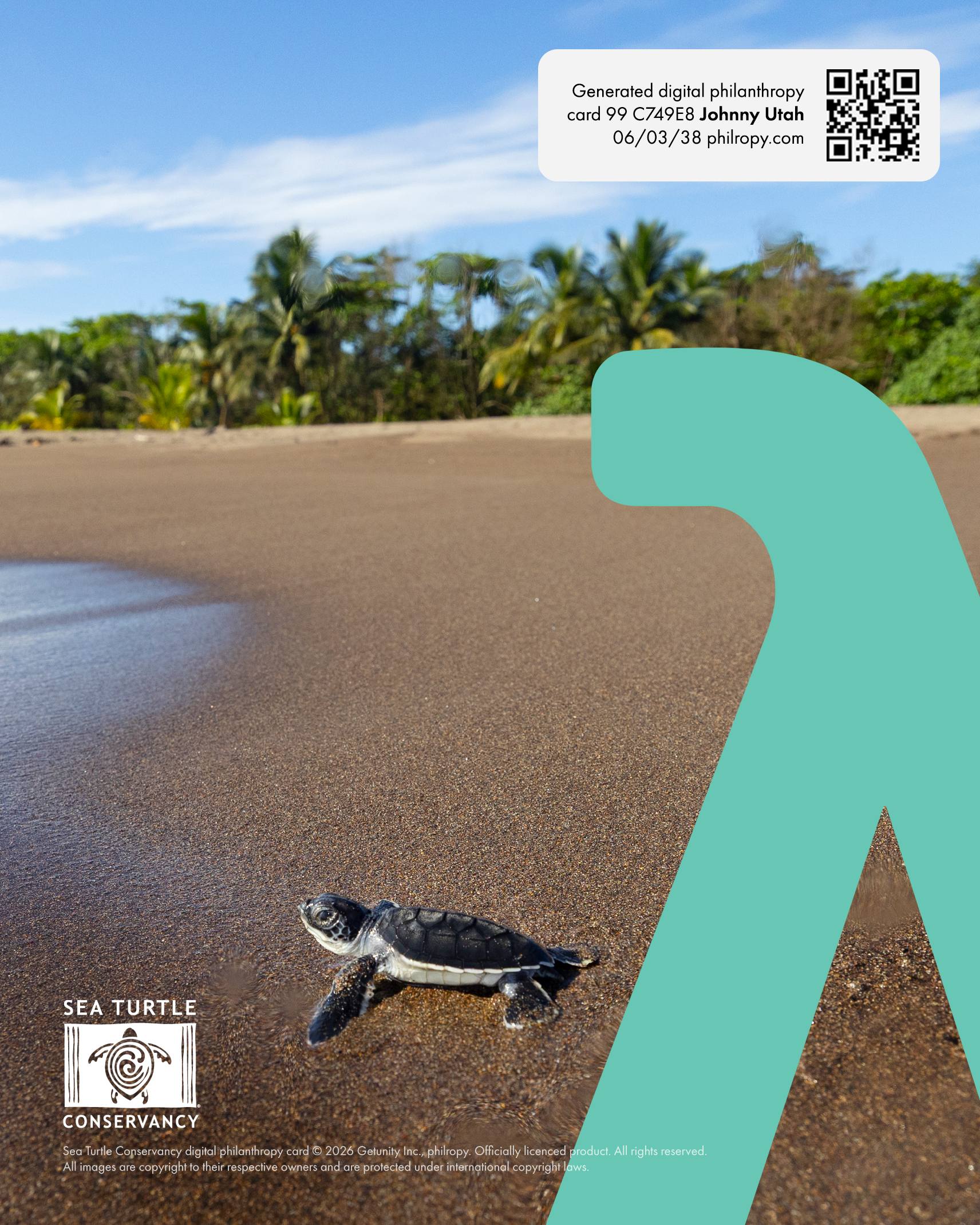 Sea Turtle Conservancy