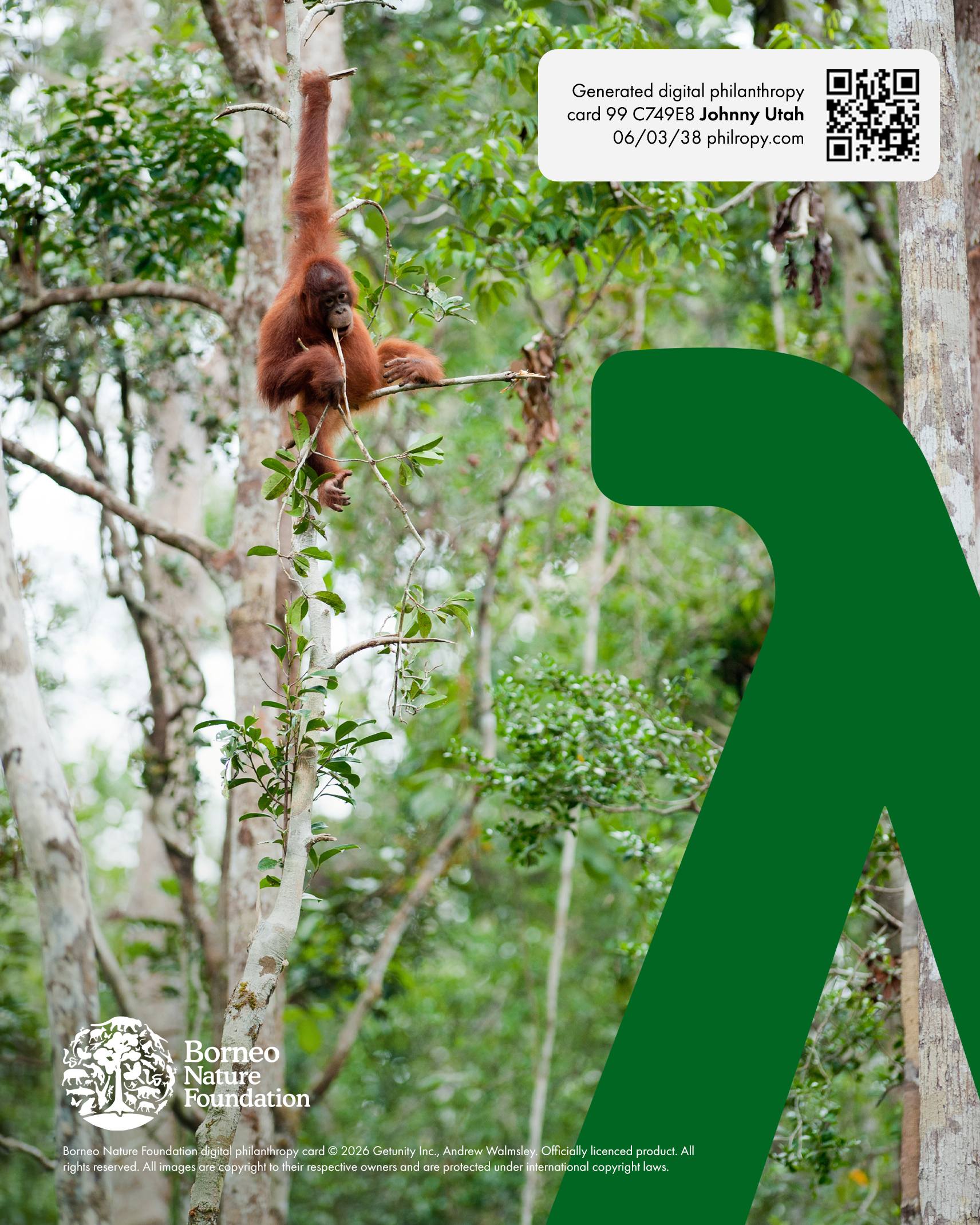 Borneo Nature Foundation