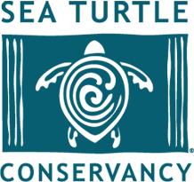 Sea Turtle Conservancy